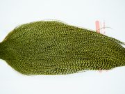 11261 Whiting Dry Fly Hackle Gold Grade Rooster Cape Grizzly Olive Ties Size 8-26