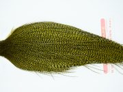 11262 Whiting Dry Fly Hackle Gold Grade Rooster Cape Grizzly Dark Olive Ties Size 8-24