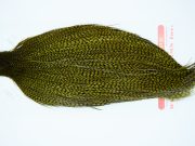 11277 Whiting Dry Fly Hackle Silver Grade Rooster Cape Grizzly Dark Olive Ties Size 8-26