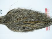 11278 Whiting Dry Fly Hackle Silver Grade Rooster Cape Grizzly Variant Ties Size 8-26