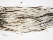11427 JimsFlyCo Dry Fly Hackle Grade 2 Rooster Saddle Dun Splash Ties Size 10