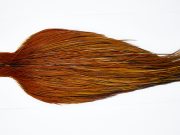 11491 JimsFlyCo Dry Fly Hackle Grade 2 Rooster Cape Furnace Ties Size 10-22