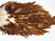 11510 Whiting Wet Fly Hen Saddle Brown