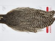 11528 Whiting Wet Fly Hen Cape Dun Grizzly