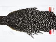 11563 Whiting Wet Fly Hen Cape Grizzly