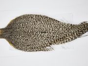 11604 Beaverkill Dry Fly Hackle Rooster Saddle Grizzly Ties Size 8-22