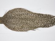 11605 Beaverkill Dry Fly Hackle Rooster Saddle Grizzly Ties Size 8-22