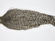 11606 Beaverkill Dry Fly Hackle Rooster Saddle Grizzly Ties Size 6-22