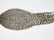 11608 Beaverkill Dry Fly Hackle Rooster Saddle Grizzly Ties Size 8-22