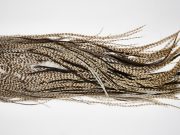 11645 Beaverkill Dry Fly Hackle Rooster Saddle Dun Grizzly Ties Size 14-16