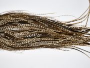 11649 Beaverkill Dry Fly Hackle Rooster Saddle Dun Grizzly Ties Size 12-16