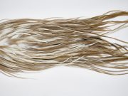 11654 Beaverkill Dry Fly Hackle Rooster Saddle Dun Splash Ties Size 10-12