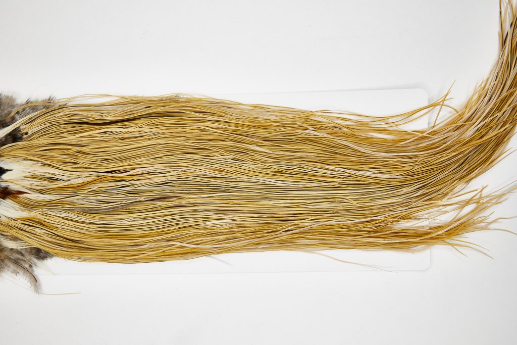 11671 Whiting Wet Fly Hackle Gold Grade Midge Saddle Golden Badger Ties Size 16-20