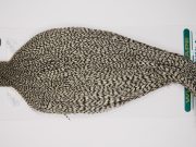 11737 Hebert Dry Fly Hackle Gold Grade Rooster Cape Grizzly Ties Size 8-22