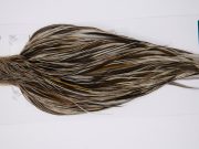 11797 Hebert Dry Fly Hackle Bronze Grade Rooster Cape Unique Variant Ties Size 8-20