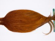11823 Hebert Dry Fly Hackle Pro Grade Rooster Cape Medium Brown Ties Size 8-22