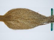 11876 Hebert Dry Fly Hackle Pro Grade Rooster Cape Medium Barred Ginger Ties Size 10-22