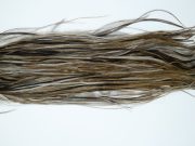 11989 Hebert Dry Fly Hackle Silver Grade Rooster Saddle Dark Grey Dun Ties Size 12-16