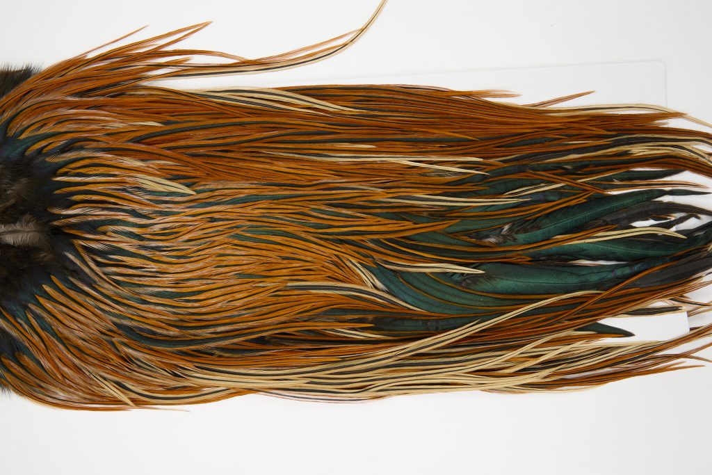 12079 Hebert Dry Fly Hackle Pro Grade Rooster Saddle Furnace Ties Size 12-14