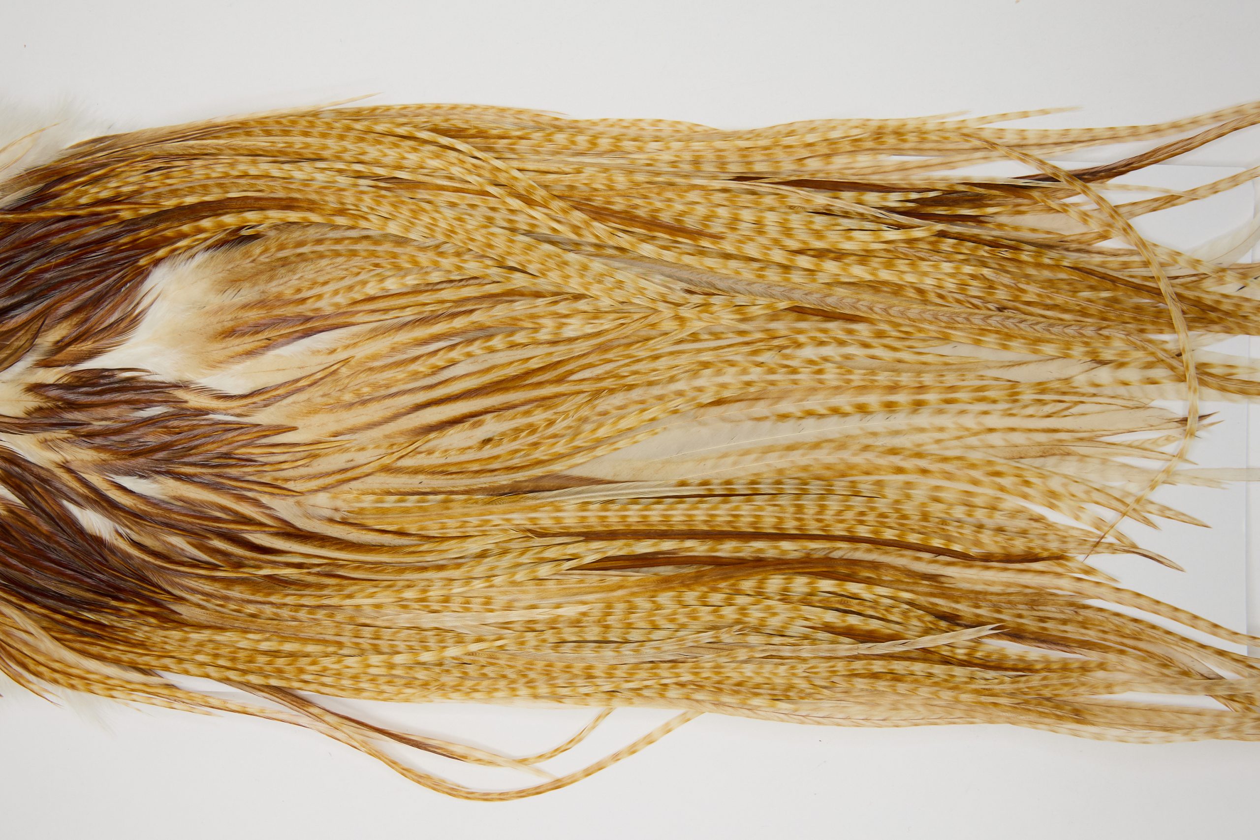 12102 Hebert Dry Fly Hackle Pro Grade Rooster Saddle Medium Barred Ginger Ties Size 14-18