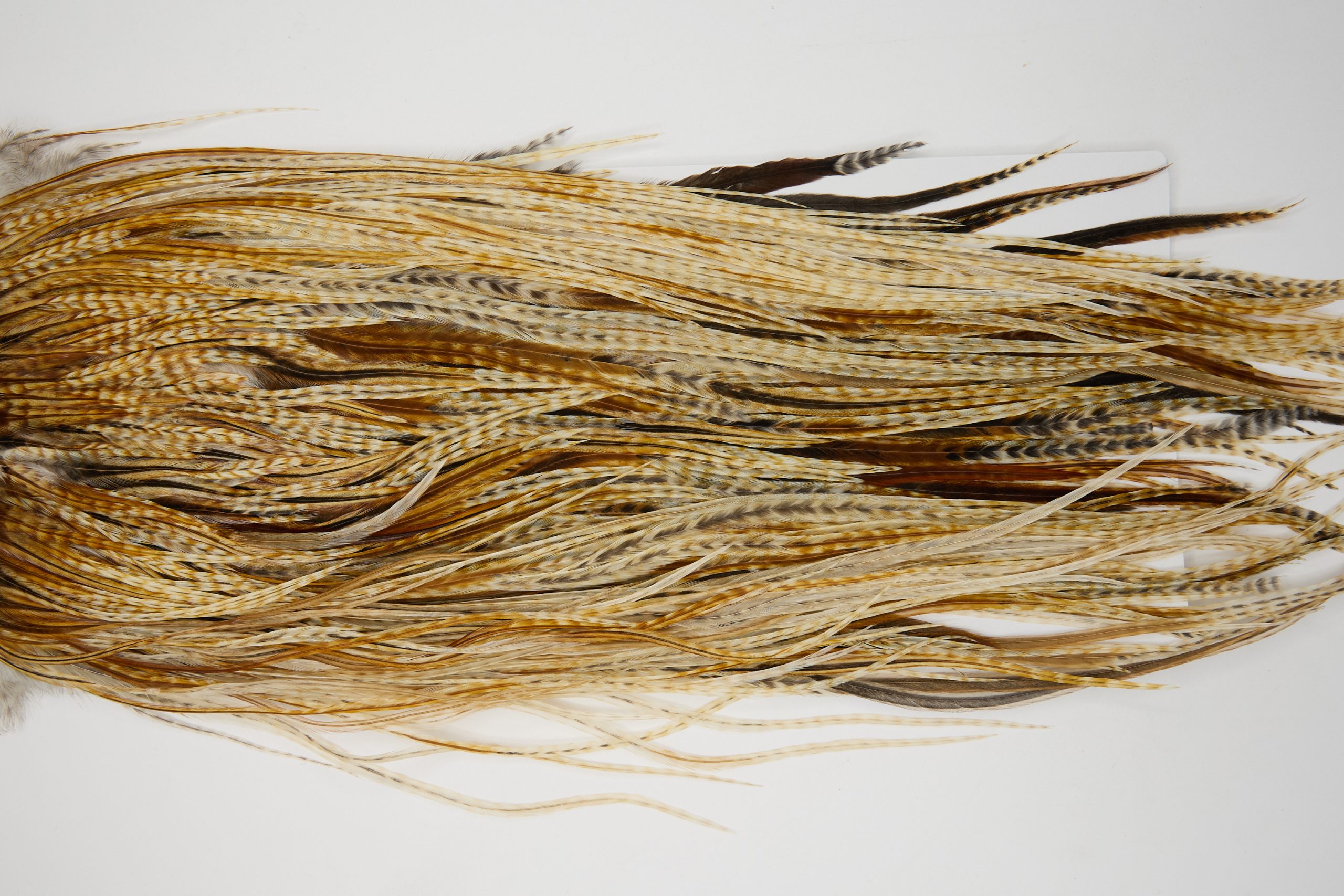 12105 Hebert Dry Fly Hackle Pro Grade Rooster Saddle Medium Barred Ginger Ties Size 12-16
