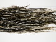 12120 Hebert Dry Fly Hackle Pro Grade Rooster Saddle Grizzly Variant Ties Size 12-18