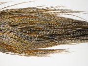 12121 Hebert Dry Fly Hackle Pro Grade Rooster Saddle Grizzly Variant Ties Size 12-14