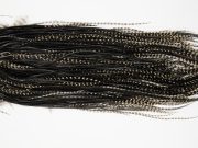 12133 Hebert Dry Fly Hackle Pro Grade Rooster Saddle Grizzly Variant Ties Size 12-14