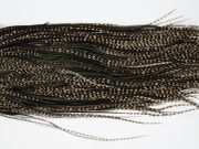 12226 Hebert Dry Fly Hackle Bronze Grade Rooster Saddle Grizzly Variant Ties Size 12-14