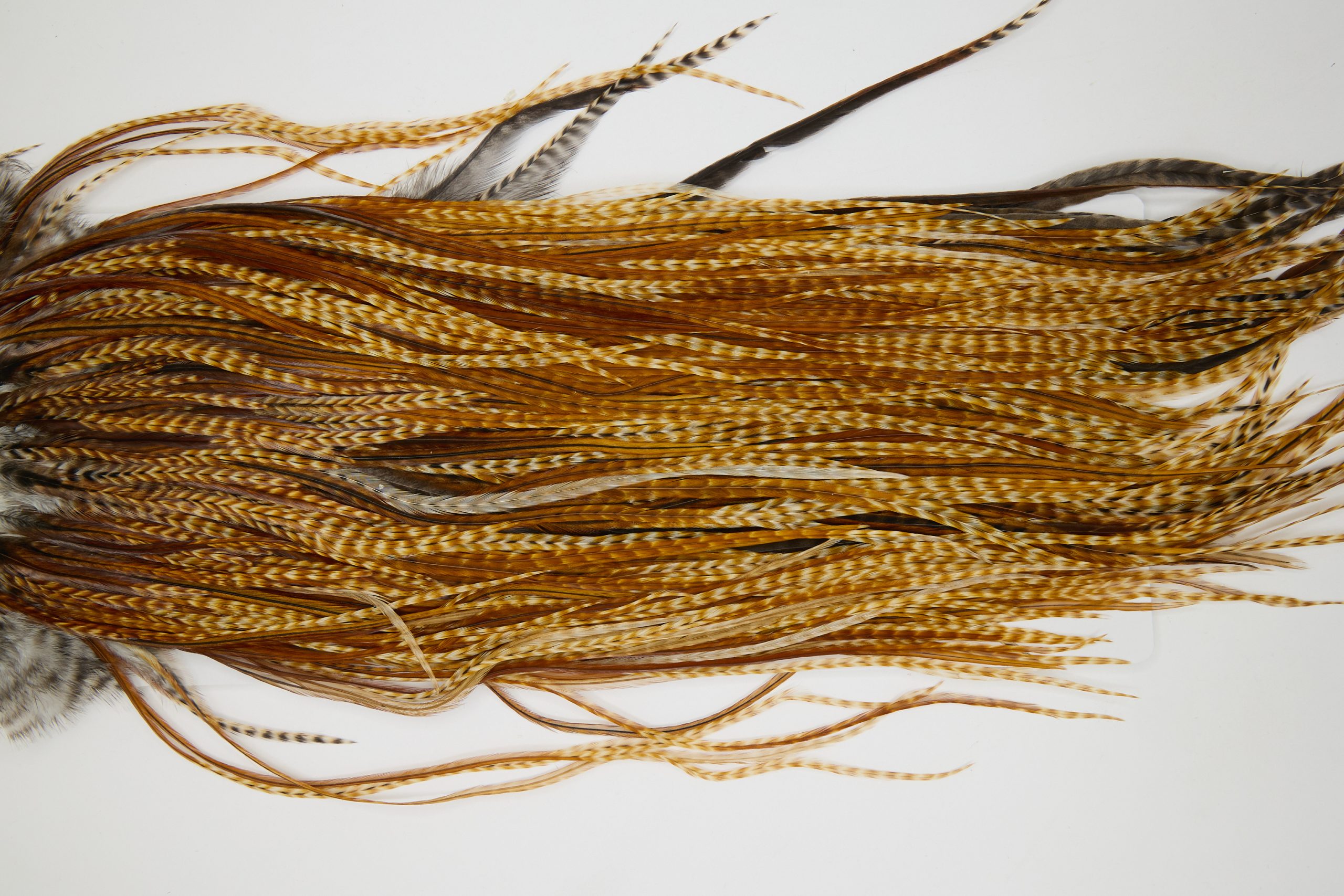 12231 Hebert Dry Fly Hackle Bronze Grade Rooster Saddle Barred Dark Ginger Ties Size 12-14