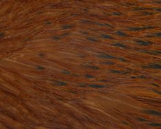 Whiting Brown Hackle