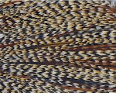 Whiting Heritage Cree Hackle Color