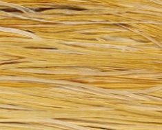 whiting-rooster-light-ginger00